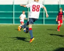 郑钦文赛季,目标冲进世,界前四,365体育,Bet365,365体育网址,365体育app,365体育官网,365体育集团