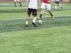 过敏奥秘揭,趣味动画科,普之旅,365体育,Bet365,365体育网址,365体育app,365体育官网,365体育集团