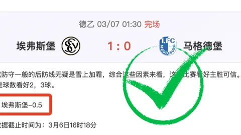 大乐透期号专家质合分析推荐：掘金VS森林狼前瞻