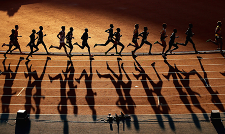 这表明平台 这表明平台